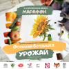 9-1030x1030.png 9-1030x1030.png