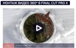 Безымянный.jpg Безымянный.jpg