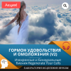 AK67LDfc.png AK67LDfc.png