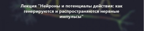 AK67LDfc.png AK67LDfc.png