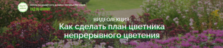 AK67LDfc.png AK67LDfc.png