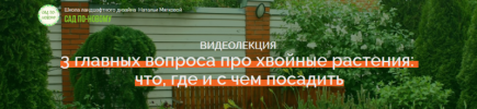 AK67LDfc.png AK67LDfc.png
