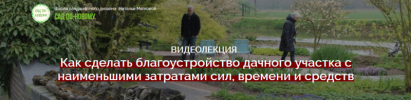 AK67LDfc.png AK67LDfc.png