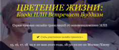 AK67LDfc.png AK67LDfc.png