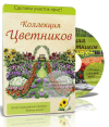 AK67LDfc.png AK67LDfc.png