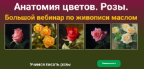 25.png 25.png