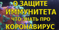 2021-01-26_17-18-48.png 2021-01-26_17-18-48.png