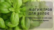 2021-03-01_23-33-13.png 2021-03-01_23-33-13.png