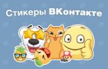 25.jpg 25.jpg