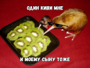 2021-04-21_21-47-45.png 2021-04-21_21-47-45.png