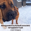 2021-04-28_20-53-58.png 2021-04-28_20-53-58.png