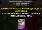 2021-06-07_12-21-45.png 2021-06-07_12-21-45.png