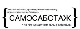 25.jpg 25.jpg