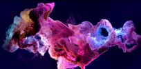2021-07-13_19-54-52.png 2021-07-13_19-54-52.png