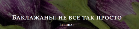 1.png 1.png