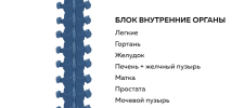 2021-08-24_19-30-41.png 2021-08-24_19-30-41.png