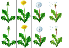 upload_2021-8-25_15-36-47.png upload_2021-8-25_15-36-47.png