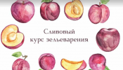 2021-11-21_17-14-10.png 2021-11-21_17-14-10.png