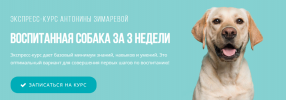 Screenshot_12.png Screenshot_12.png