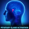 Store_PituitaryGlandActivation.jpg Store_PituitaryGlandActivation.jpg