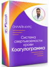 2022-10-08_15-47-17.png 2022-10-08_15-47-17.png
