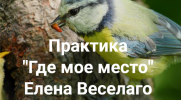 2022-11-10_15-11-14.png 2022-11-10_15-11-14.png