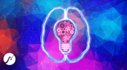 2.png 2.png