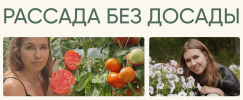 2023-03-23_12-25-40.png 2023-03-23_12-25-40.png