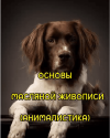 2.png 2.png