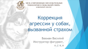 1706052396900.png 1706052396900.png