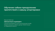 1706734307948.png 1706734307948.png
