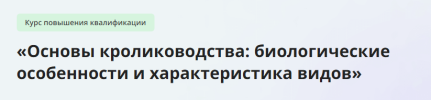 1708637942892.png 1708637942892.png