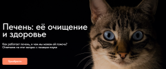 2024-03-08_08-03-51.png 2024-03-08_08-03-51.png