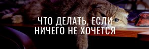 2.jpg 2.jpg