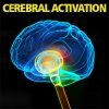 Store_CerebralActivation.jpg Store_CerebralActivation.jpg