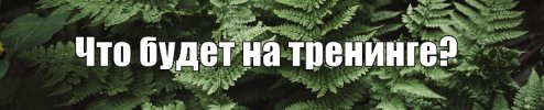 i12.pixs.ru_storage_7_9_7_01jpg_8385919_30305797.jpg i12.pixs.ru_storage_7_9_7_01jpg_8385919_30305797.jpg