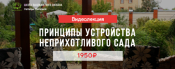 2024-07-13_12-17-55.png 2024-07-13_12-17-55.png