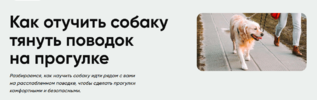 2024-08-23_16-54-07.png 2024-08-23_16-54-07.png