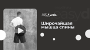 124.png 124.png