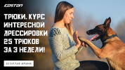 2024-09-29_17-58-09.png 2024-09-29_17-58-09.png