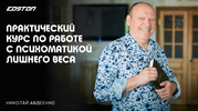 2024-10-06_22-49-23.png 2024-10-06_22-49-23.png