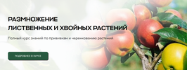 2024-10-18_15-19-46.png 2024-10-18_15-19-46.png