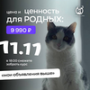 2024-11-27_18-48-51.png 2024-11-27_18-48-51.png