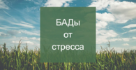 14.png 14.png