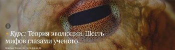 2026-05-10_13-39-10.jpg