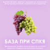 2026-05-29_09-53-12 (2).png