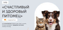 2026-06-11_14-04-44.png