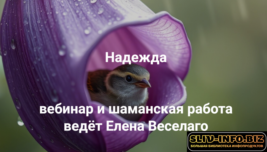 1785413118204.png 1785413118204.png