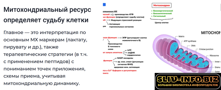 1786291209123.png