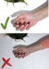 Безымянный.jpg Безымянный.jpg